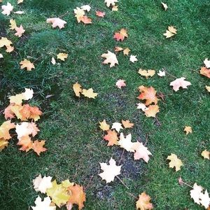 Meet your Posher, Grace